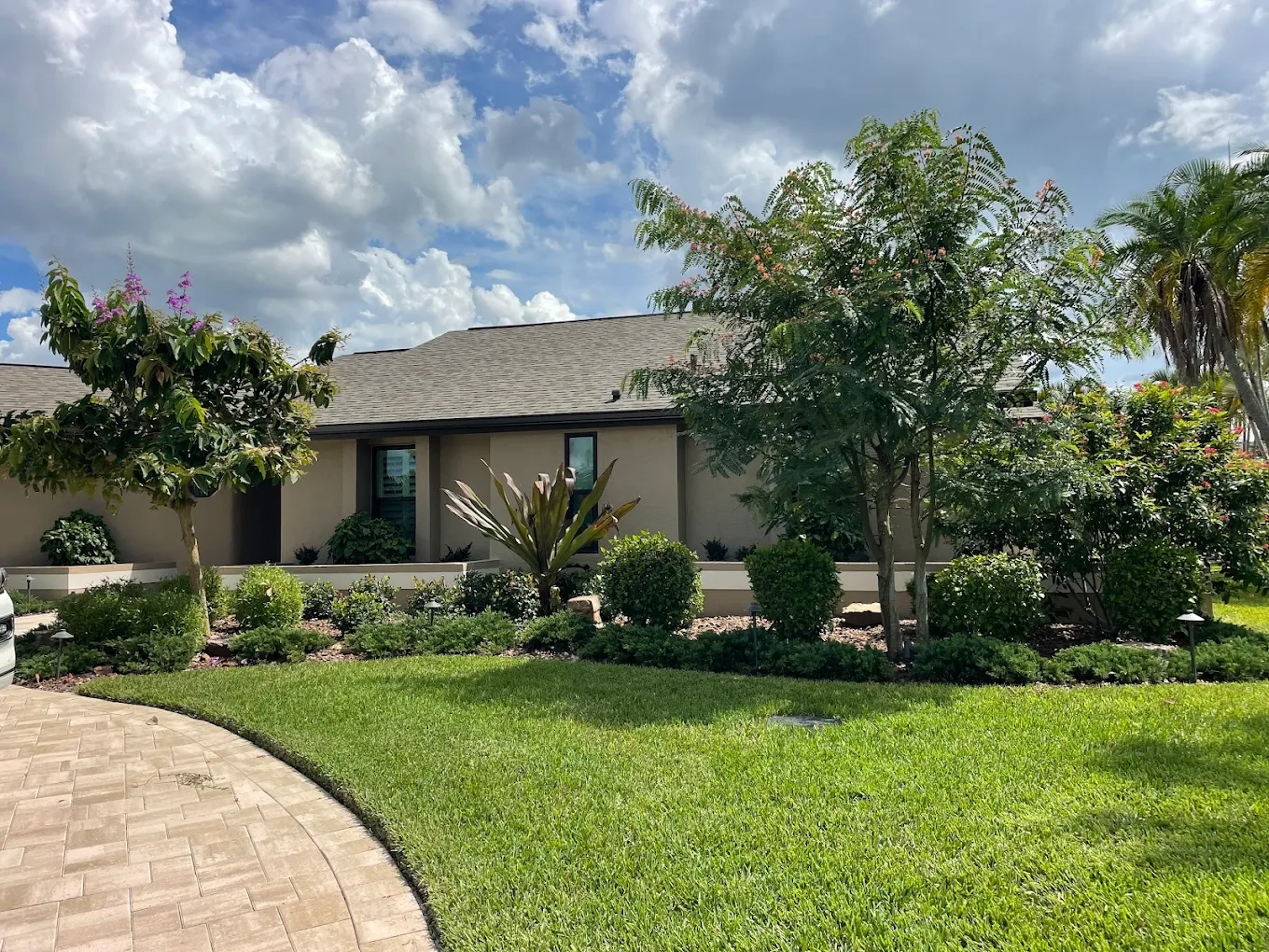 Professional tree trimming for beautiful Florida landscaping