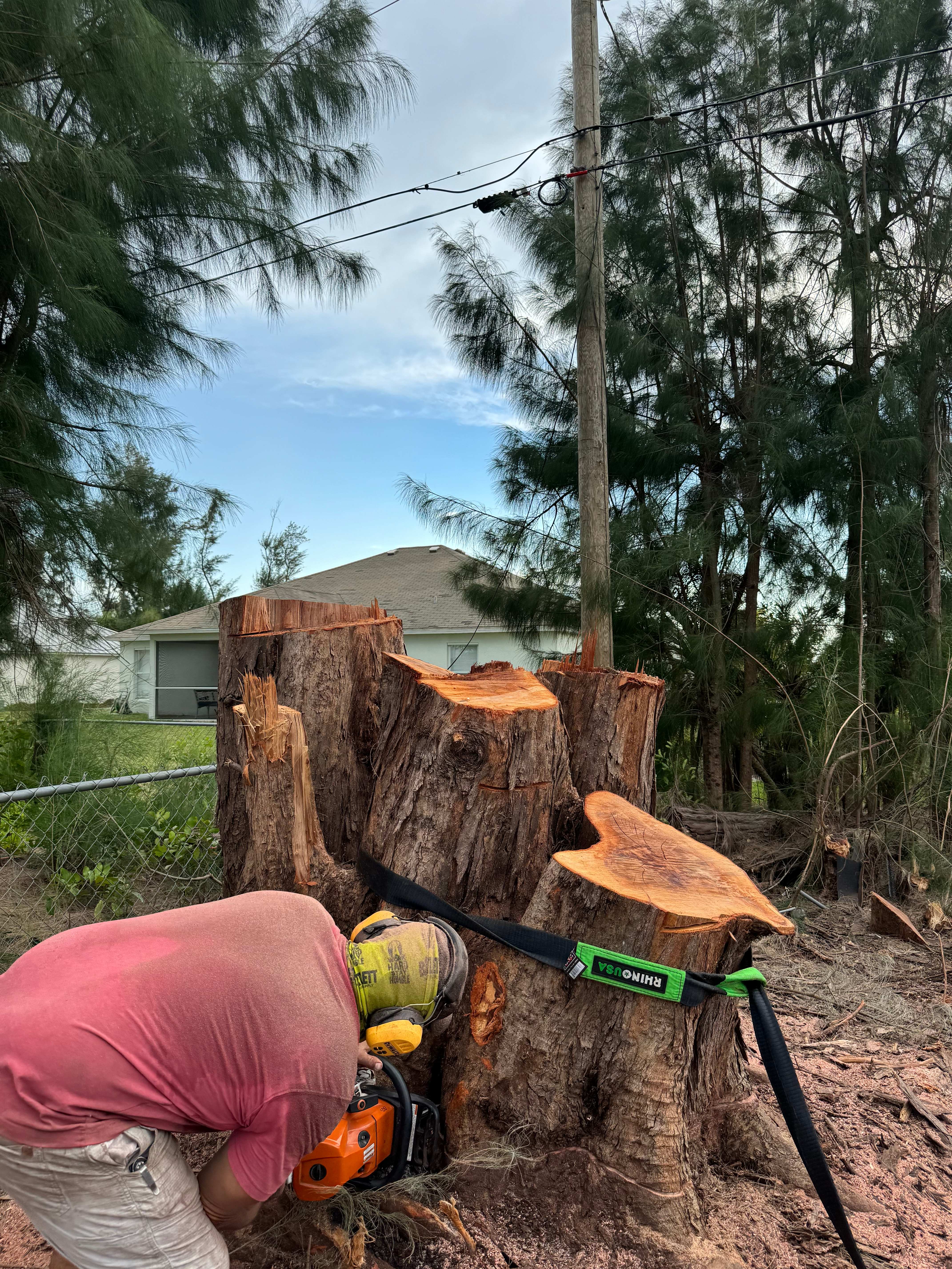 Precision Stump Cutting