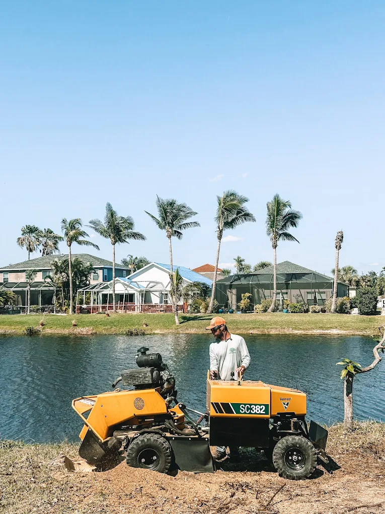 Stump grinding near waterfront homes