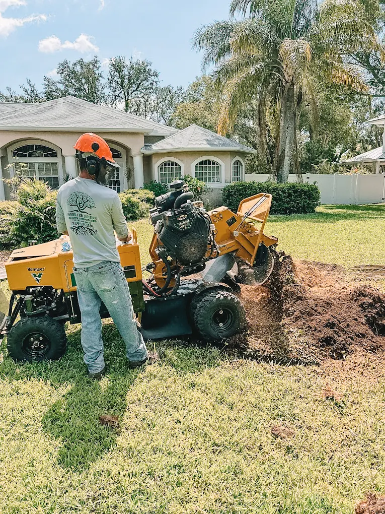 Professional stump grinding service in residential area